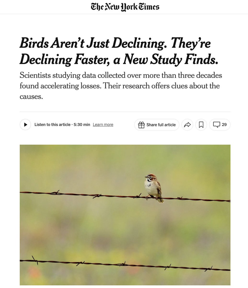 Dan Rejto 🇺🇸🌎🍴 tweet media