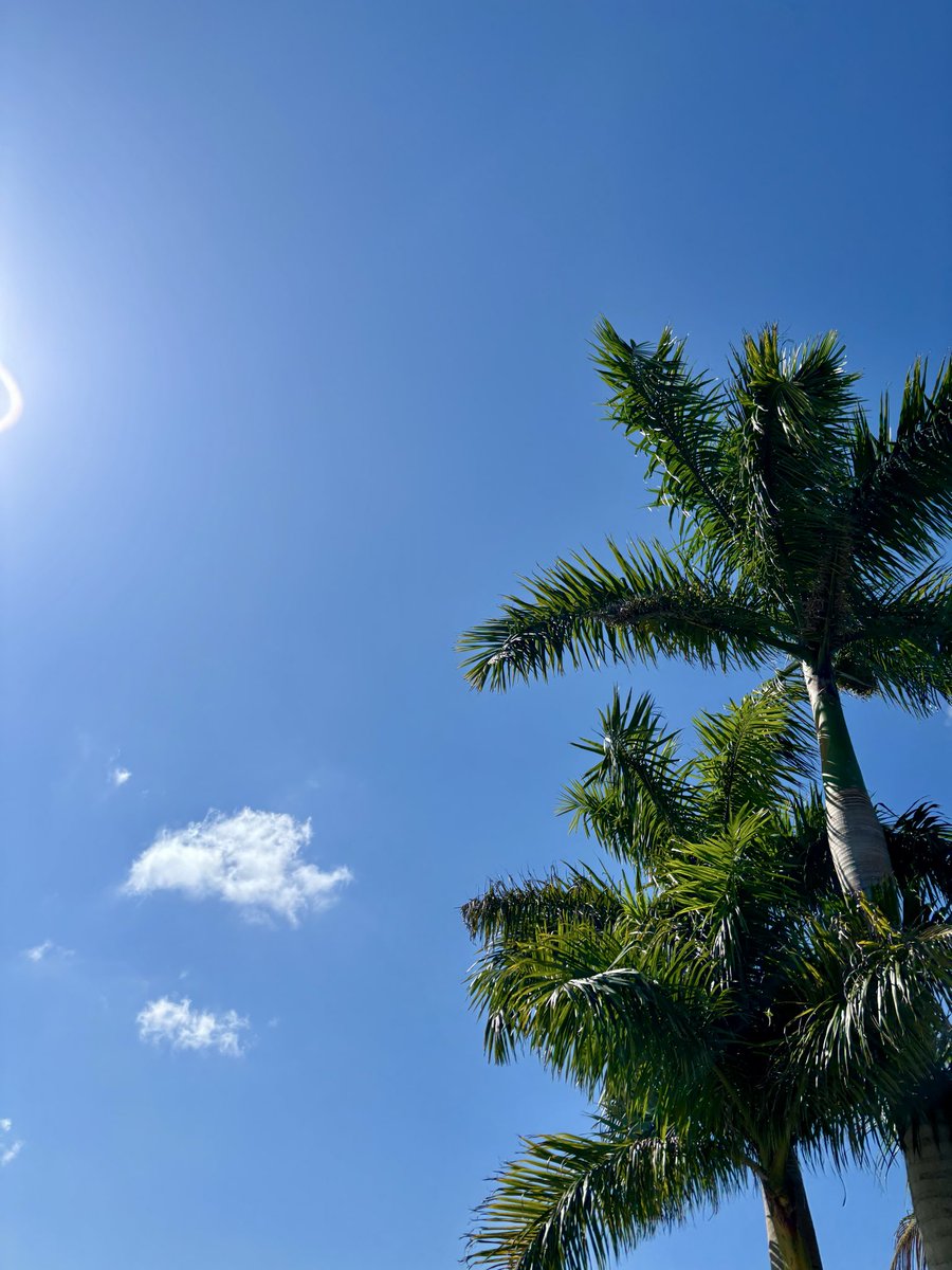 Sun is out, breeze is blowing, birds are chirping. Happy Friday.