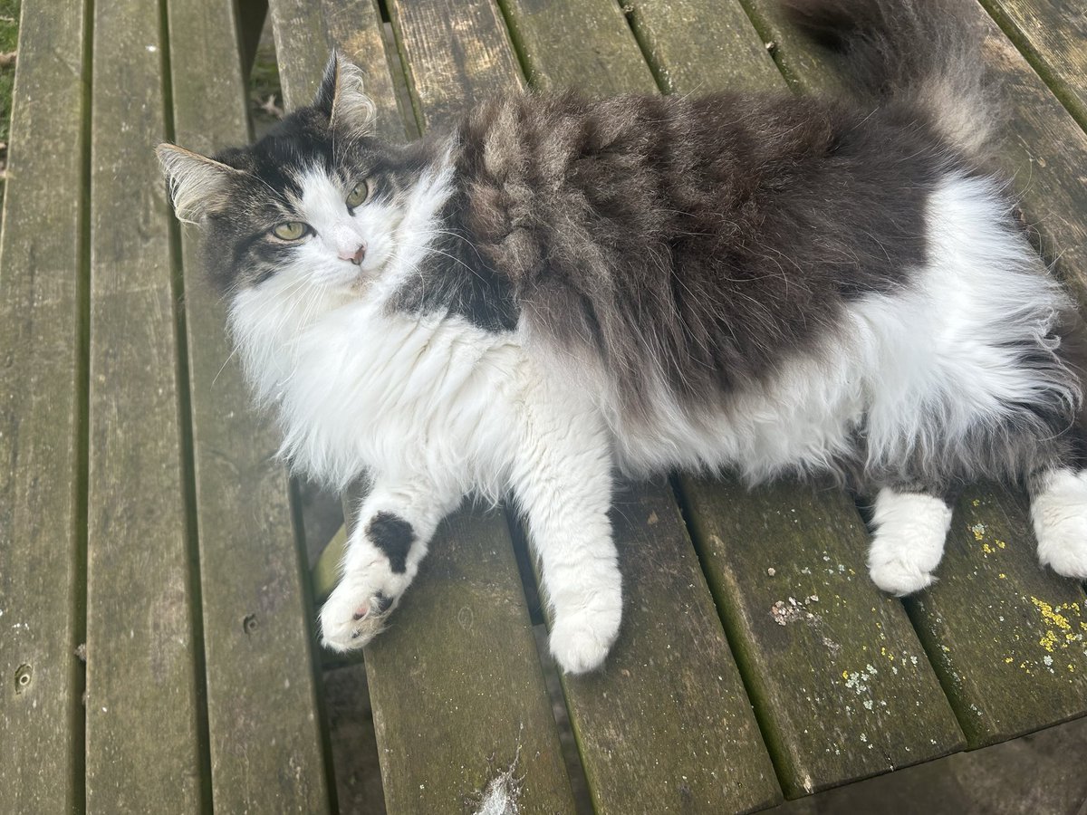 Claudia Andrea Perez 💙 tweet media