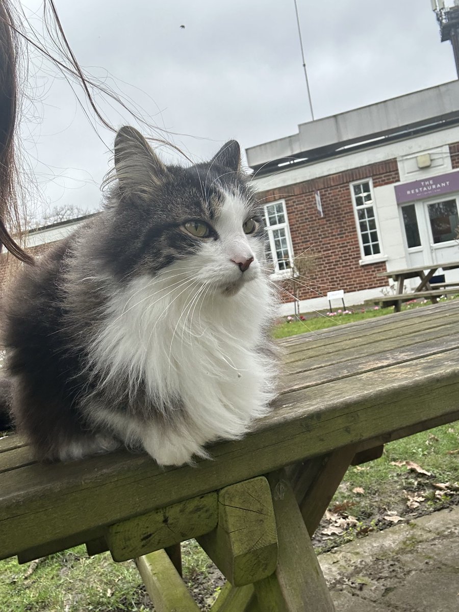 Claudia Andrea Perez 💙 tweet media