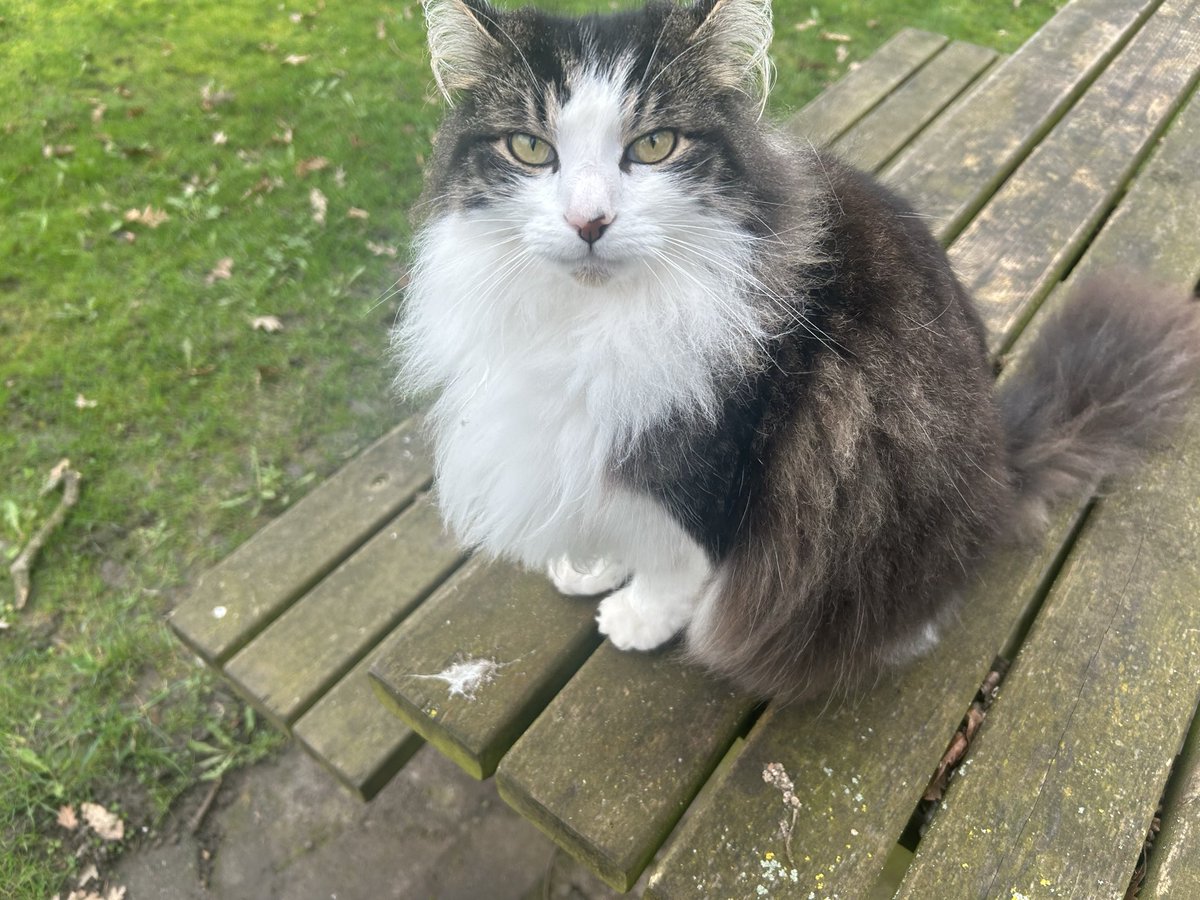 Claudia Andrea Perez 💙 tweet media