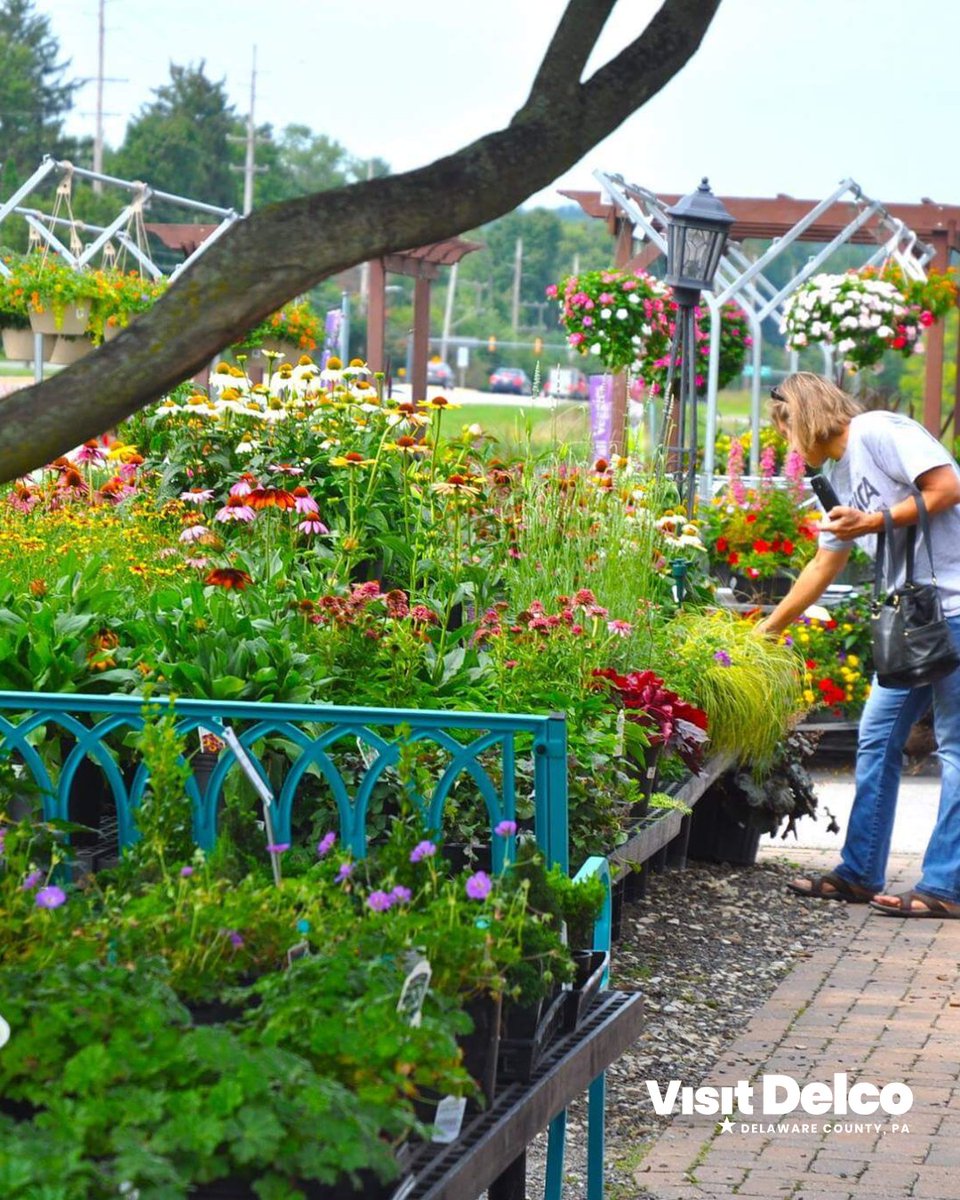 Visit Delco, PA tweet media