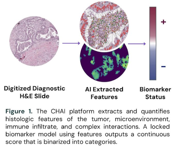 urotoday's tweet photo. Development and validation of CHAI-powered prognostic and predictive biomarkers in #mHSPC using #ENZAMET and #CHAARTED prospective randomized phase 3 trials. Presented by @neerajaiims @huntsmancancer. #GU26 written coverage by @chavarriagaj @PSH_Urology > https://t.co/FMWwZaO8jM @ASCO