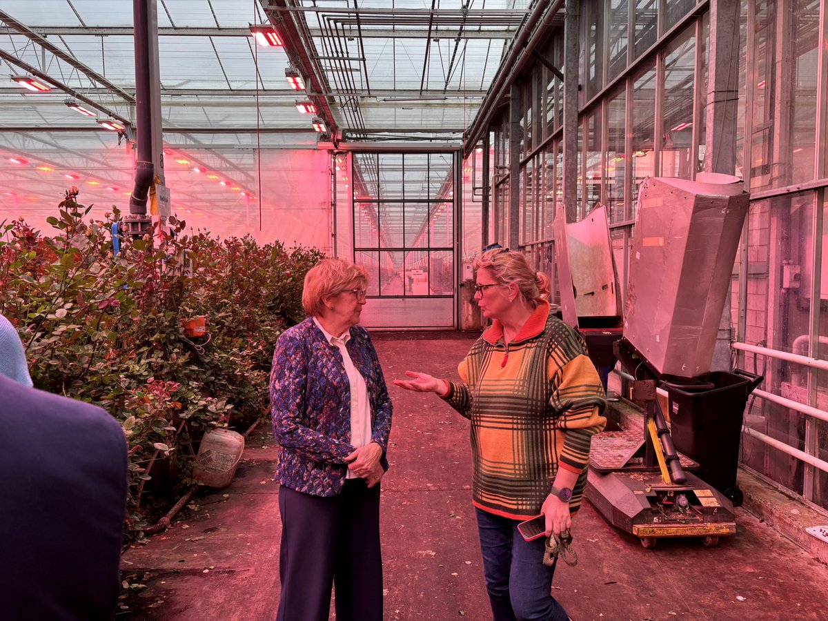 BBB Zuid-Holland tweet media