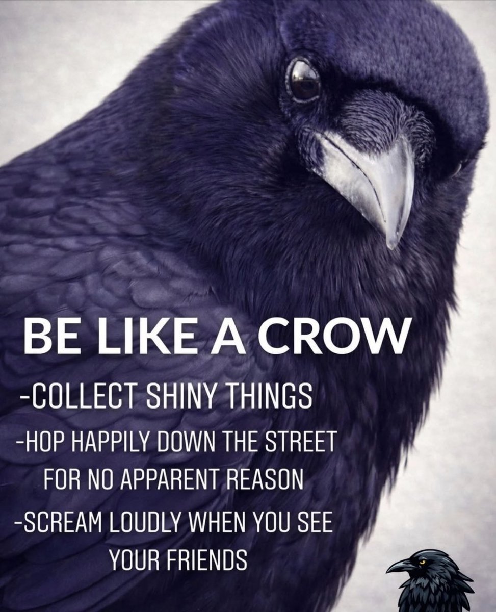 L. Fitzgibbons (@369wolfie) on Twitter photo 