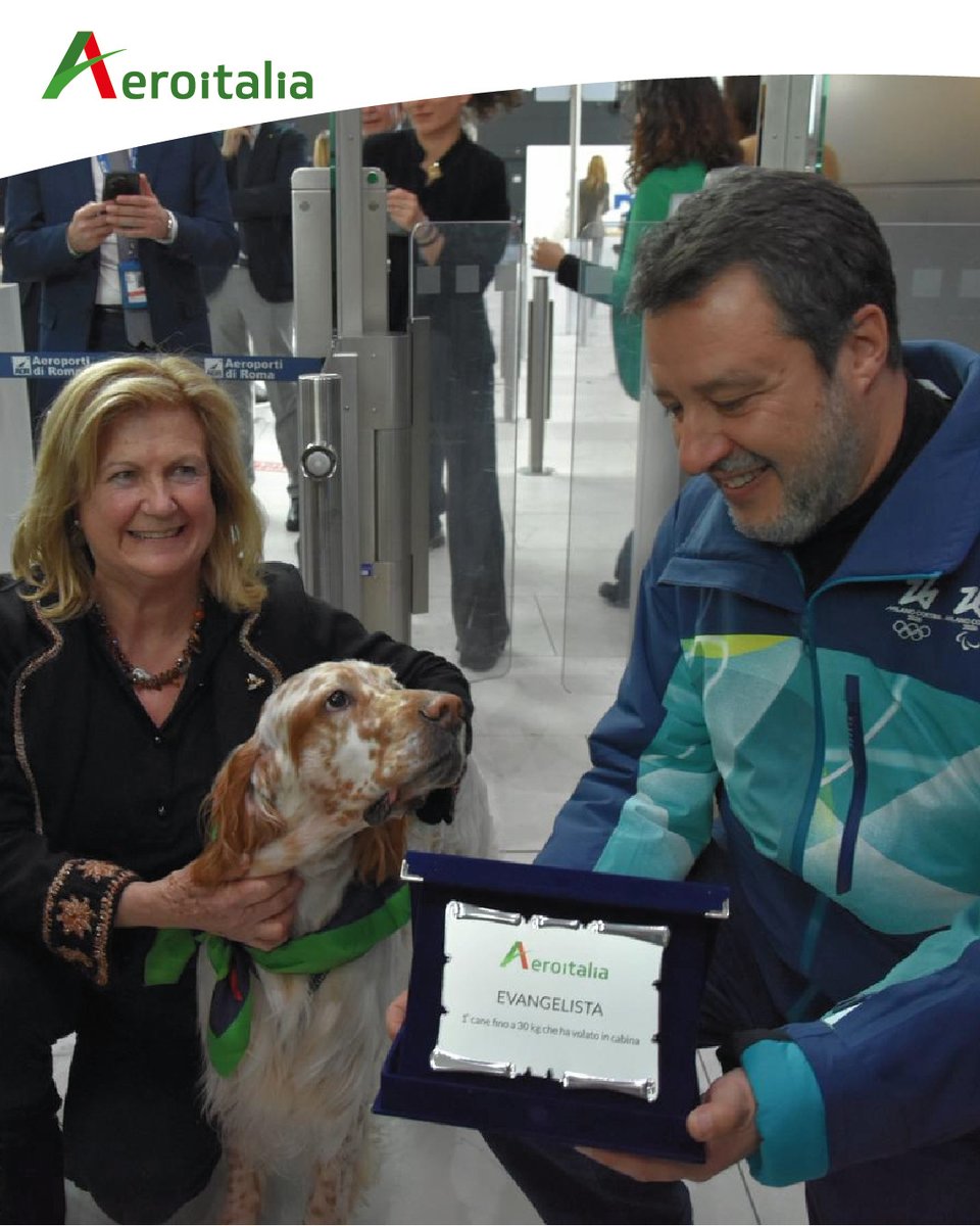 aeroitaliasrl's tweet image. #Aeroitalia raggiunge un traguardo importante: sul volo Roma–Palermo, Ross, un Cirneco dell’Etna di 15,5 kg, ed Evangelista, un Setter inglese di 28 kg, hanno viaggiato per la prima volta in cabina, accanto ai loro conduttori, senza trasportino. #PetFriendly