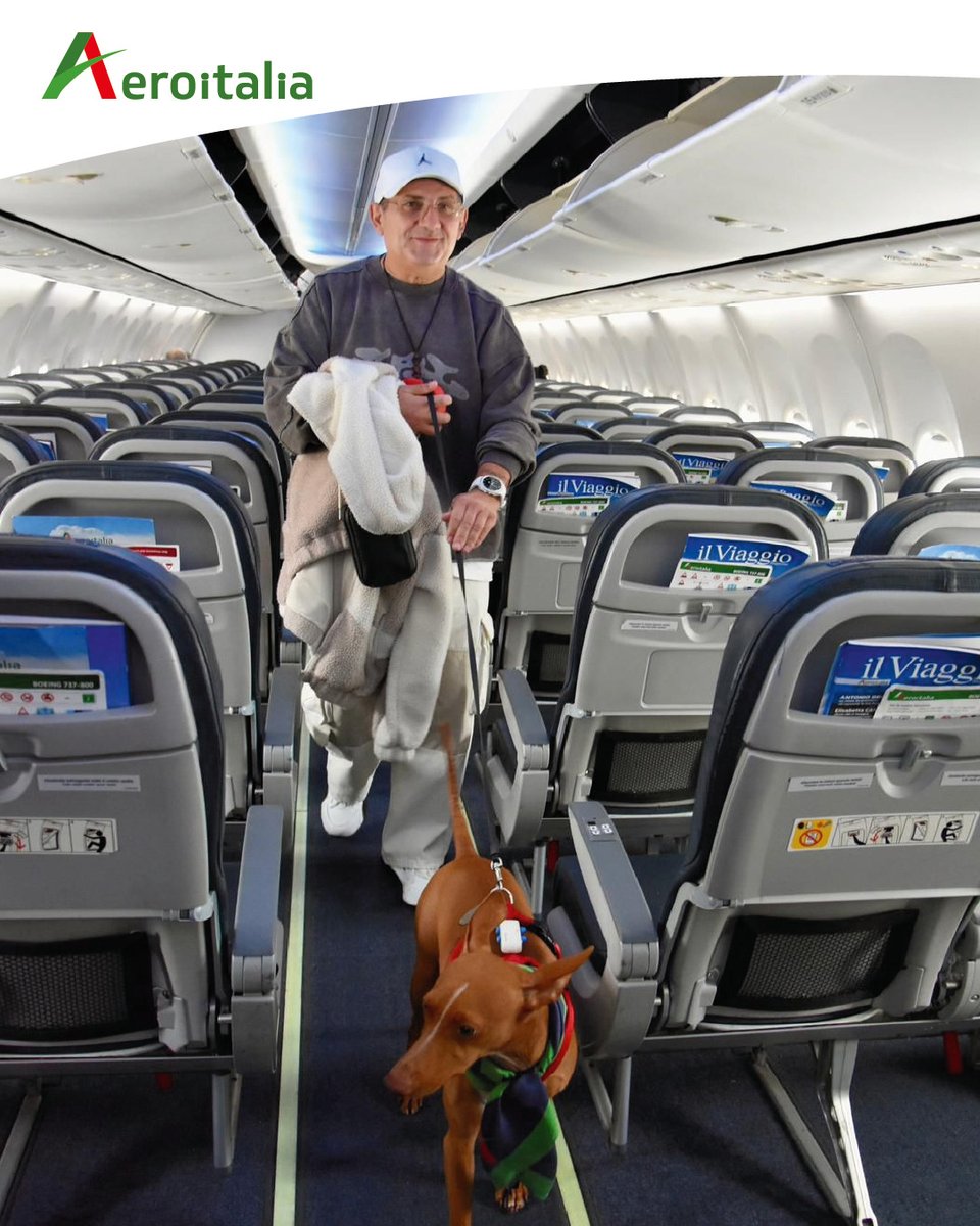 aeroitaliasrl's tweet image. #Aeroitalia raggiunge un traguardo importante: sul volo Roma–Palermo, Ross, un Cirneco dell’Etna di 15,5 kg, ed Evangelista, un Setter inglese di 28 kg, hanno viaggiato per la prima volta in cabina, accanto ai loro conduttori, senza trasportino. #PetFriendly
