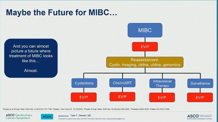 Dra. María Natalia Gandur Quiroga tweet media