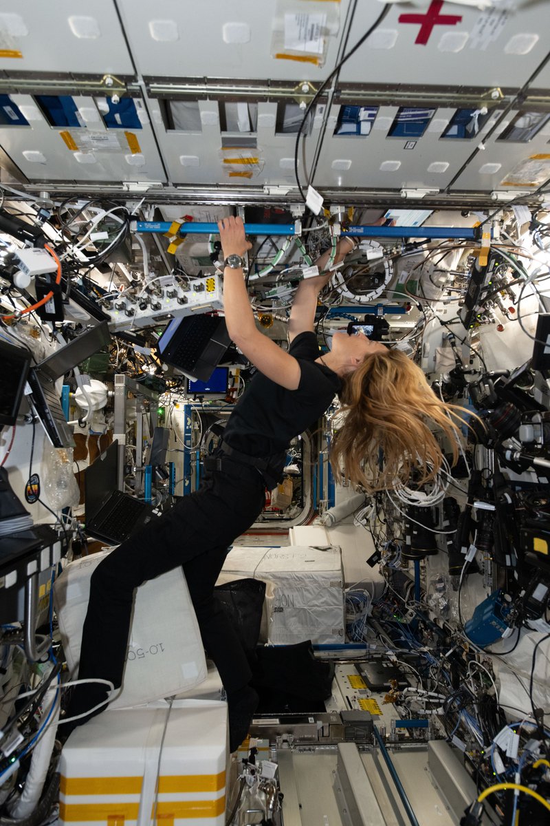 Adenot Sophie tweet media