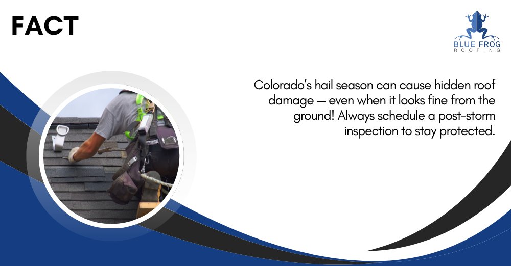 BlueFrogRoofing's tweet photo. Colorado’s hail season can cause hidden roof damage — even when it looks fine from the ground! Always schedule a post-storm inspection to stay protected.
#RoofFacts #HailDamage #RoofInspection #ColoradoRoofing #BlueFrogRoofing https://t.co/bNA86ewXSn