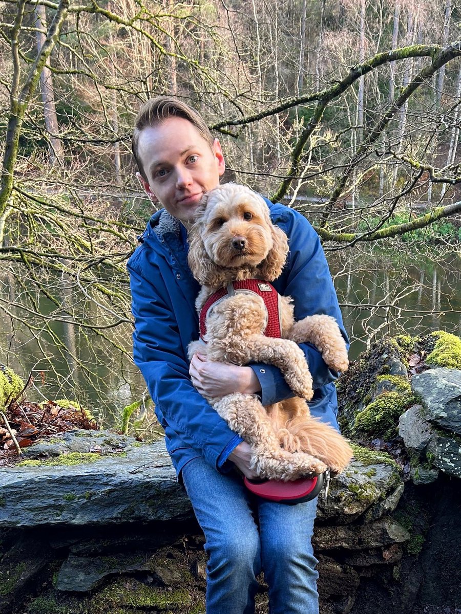 Callum McLaughlin tweet media