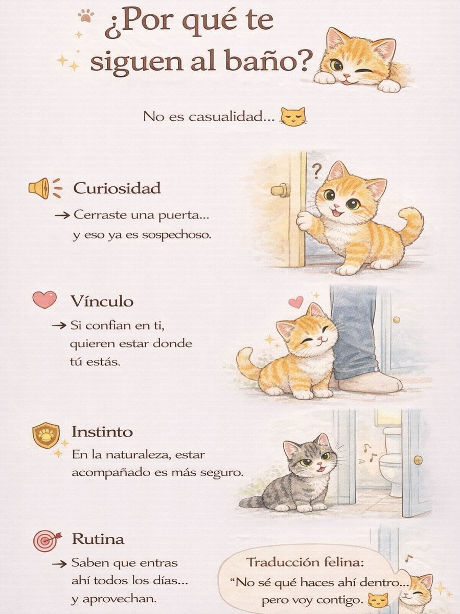 ¿Por qué te seguimos al baño?🤔😺