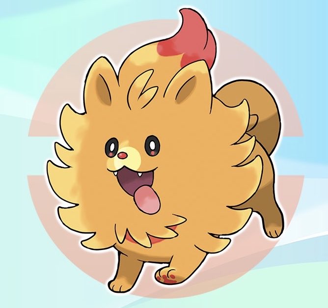 Pombom is such a little goober! It reminds me of the fiery Pomeranian my family used to have before she passed on. Team Pombon for sure!