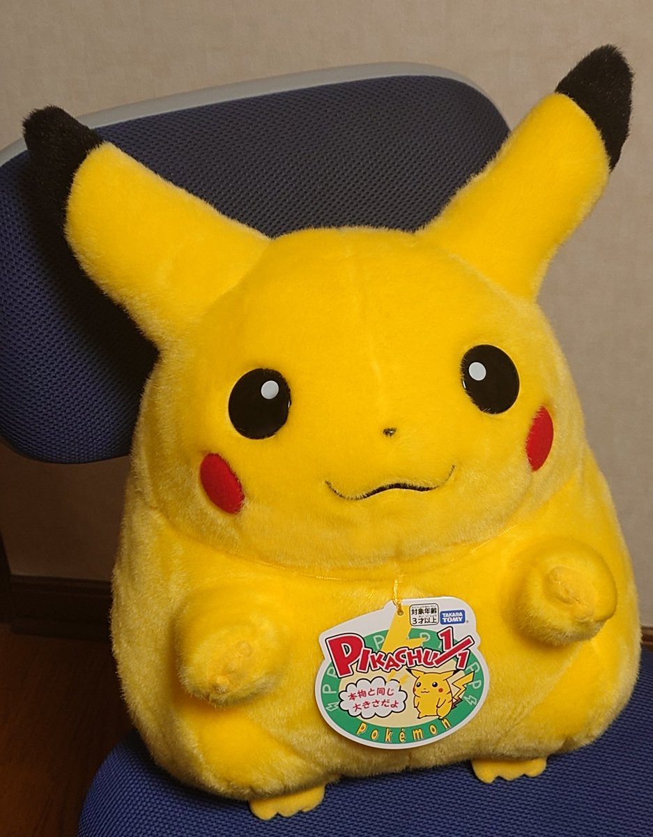 これはレジ袋からスケスケになったピカチュウ でっかくてかわいいね😭😭