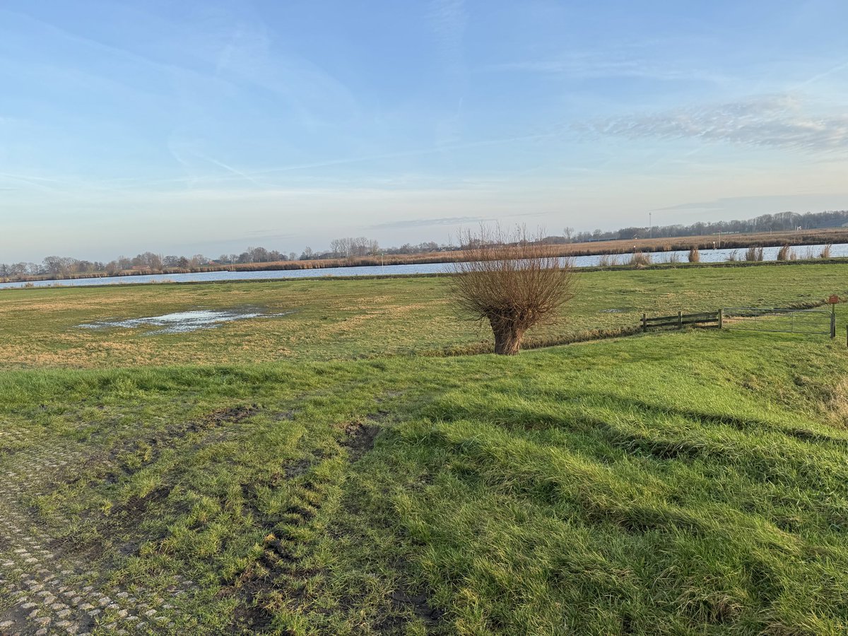 Cor Heutink tweet media