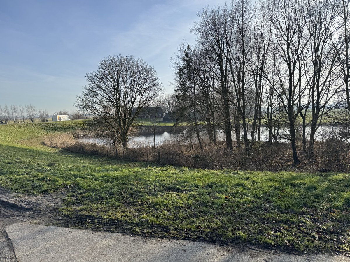 Cor Heutink tweet media