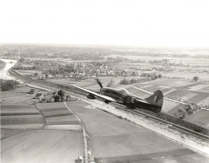 Ron Eisele tweet media