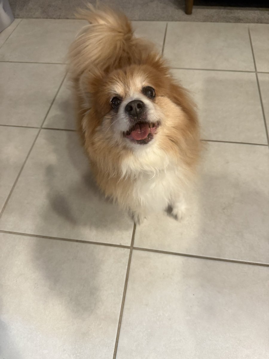 Shylily Virus (Fan)🦐 tweet media