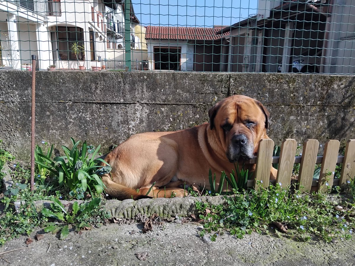 Patrizia Bellotti tweet media