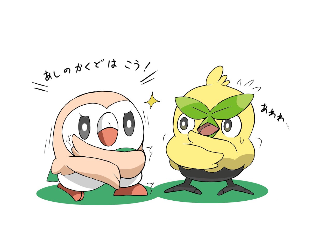 やぶれたモクロー 新入りのハブロウに熱血指導するモクロー！ モ「これ修得しないと
