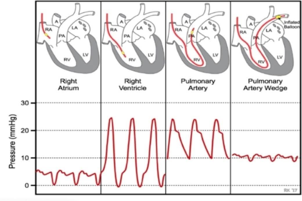 RECAT👩🏽⚕️🏥👨🏽⚕️🇲🇽🫀 tweet media