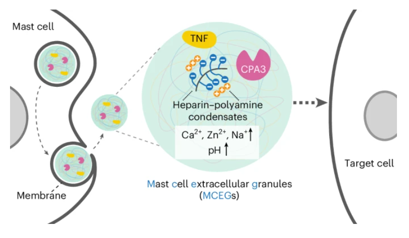 Nature Chemical Biology tweet media