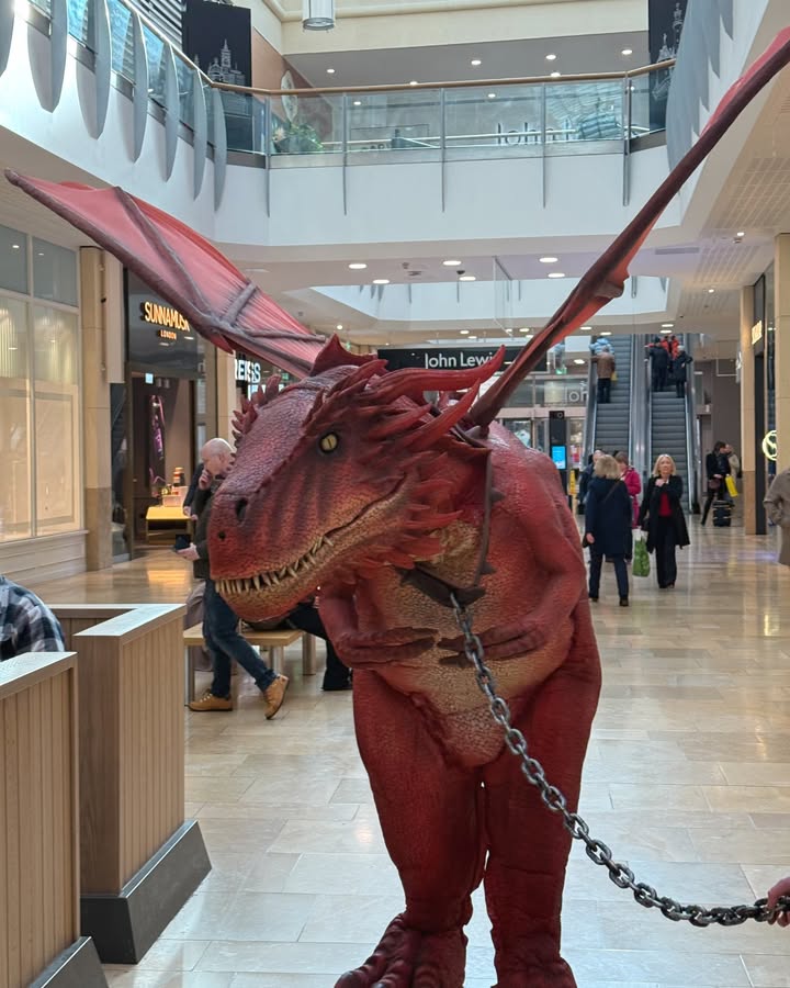 St David's Cardiff tweet media