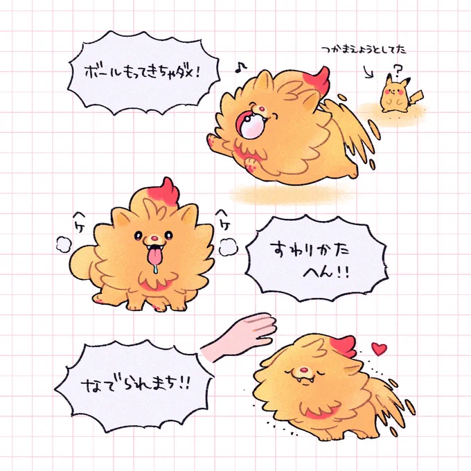 ポムケンのこともっと教えて!!!!! 