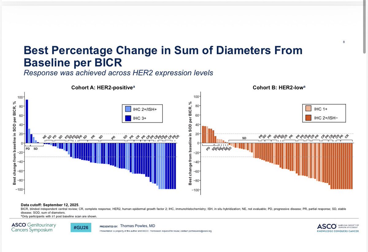Tom Powles tweet media