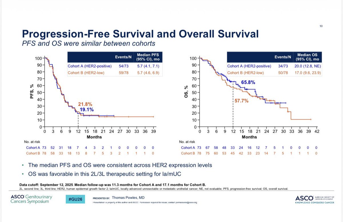 Tom Powles tweet media