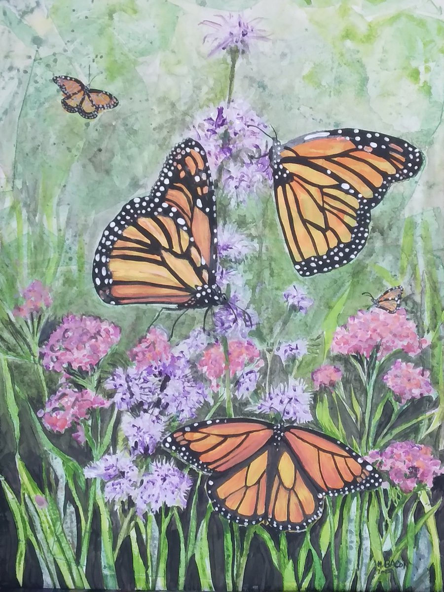 heidibacon's tweet photo. Getting ready to talk about pollinators and share my artwork at the Rochester Public Library Sat Feb 28 at 4:30 - hope to see you there! https://t.co/iVRWu4Iz3c