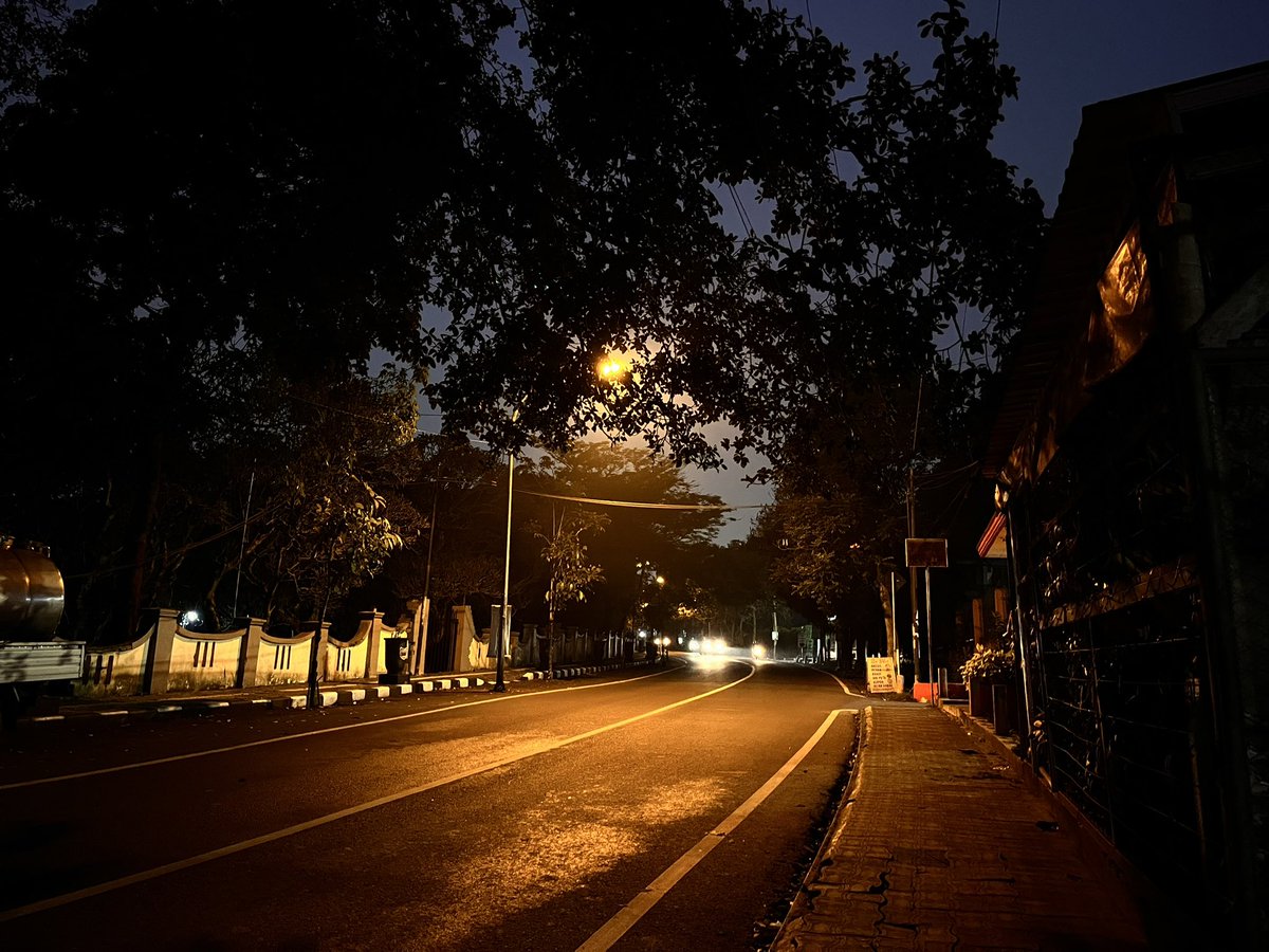 🦮🧘‍♀️🪷🪸🦚🚸 tweet media