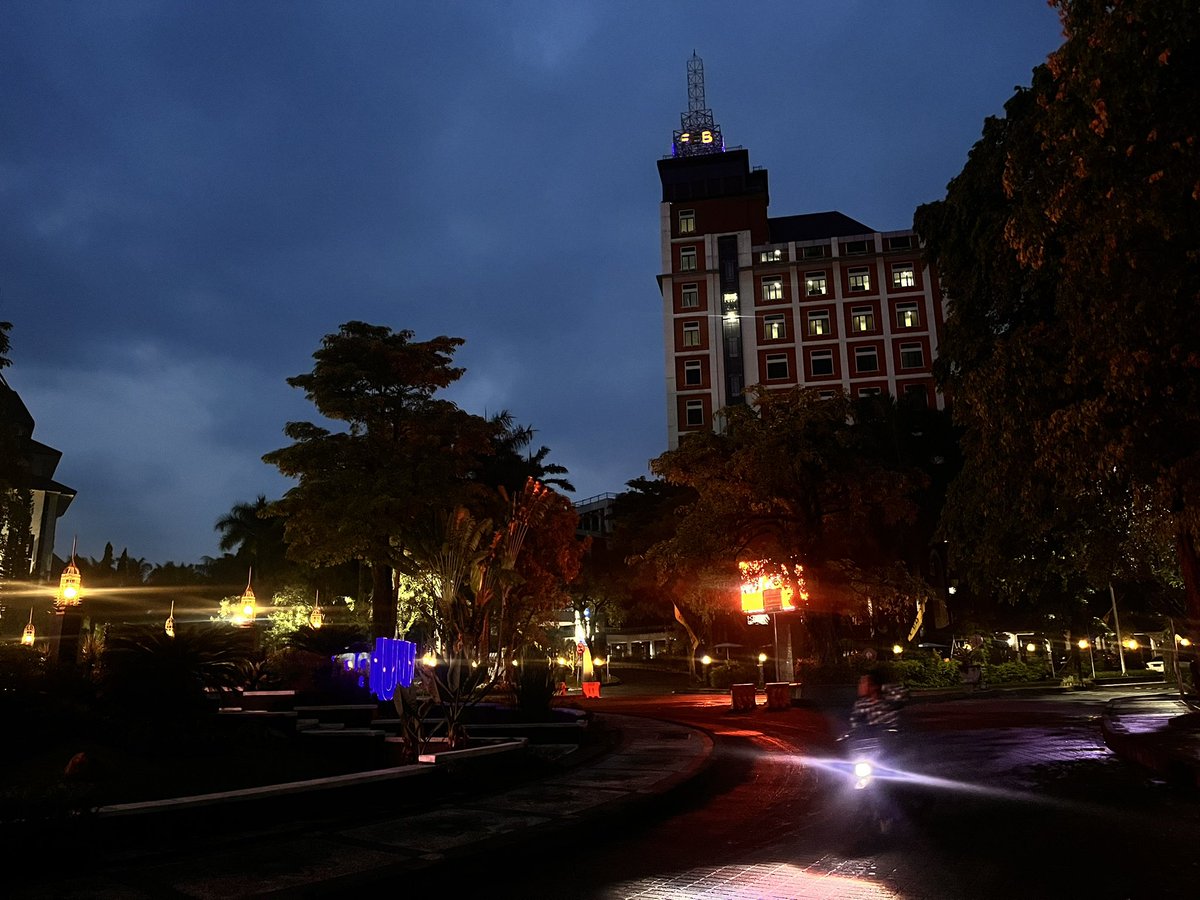 🦮🧘‍♀️🪷🪸🦚🚸 tweet media