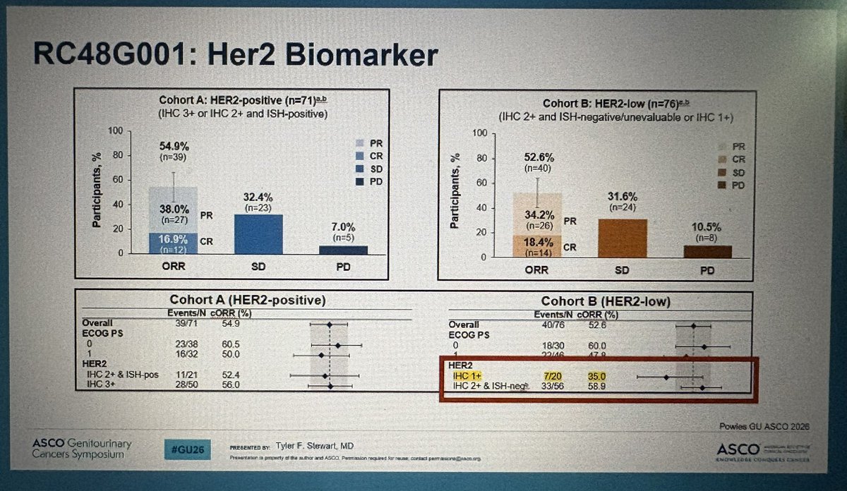 Jun Gong tweet media