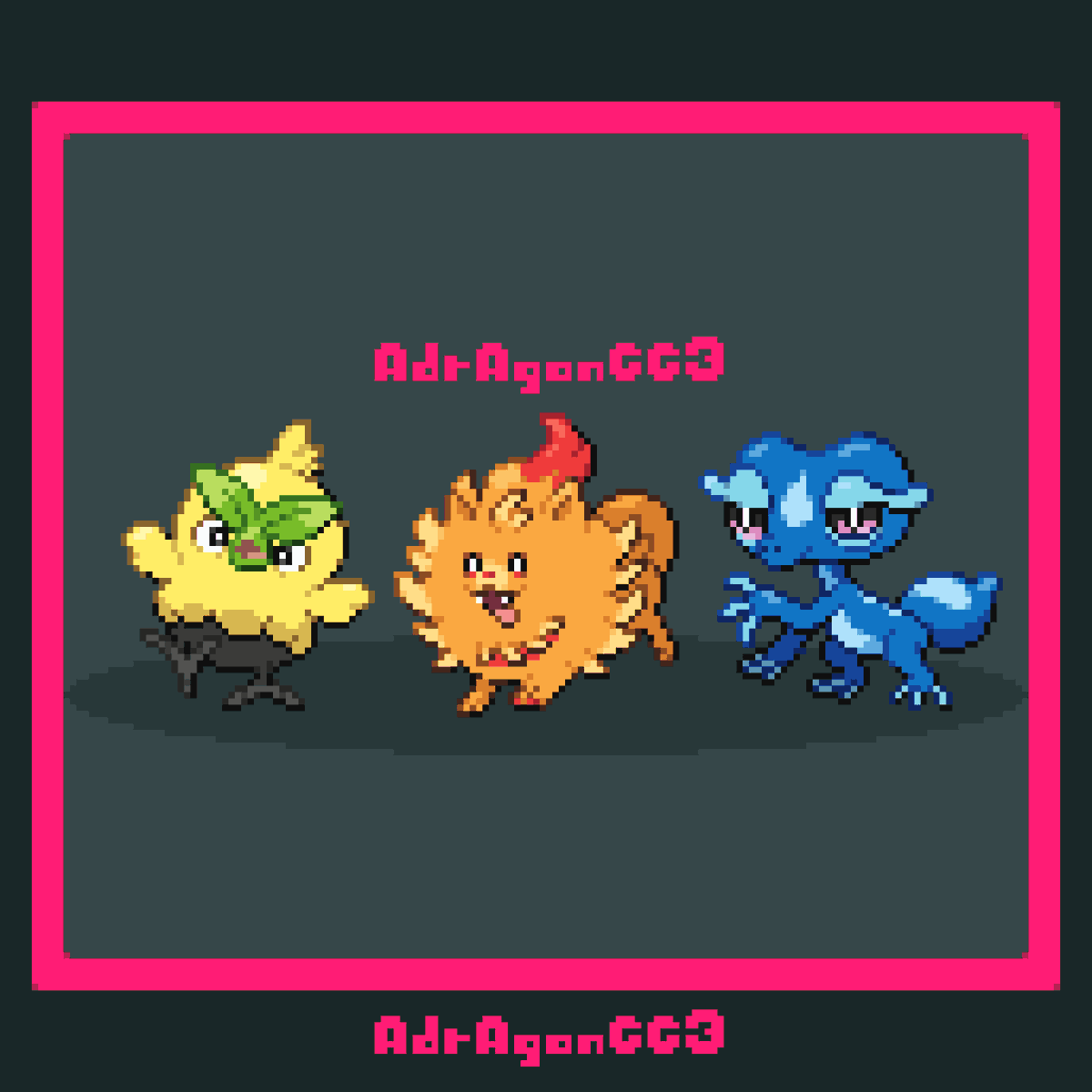 The new starters are here!!! #PokemonDay