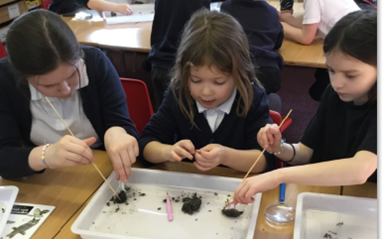 Rothiemay Primary School tweet media