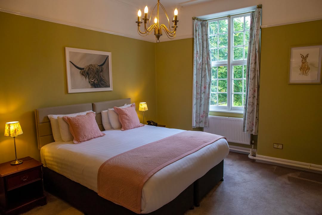 Visit Devon tweet media