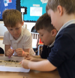 Rothiemay Primary School tweet media