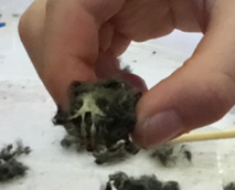 Rothiemay Primary School tweet media