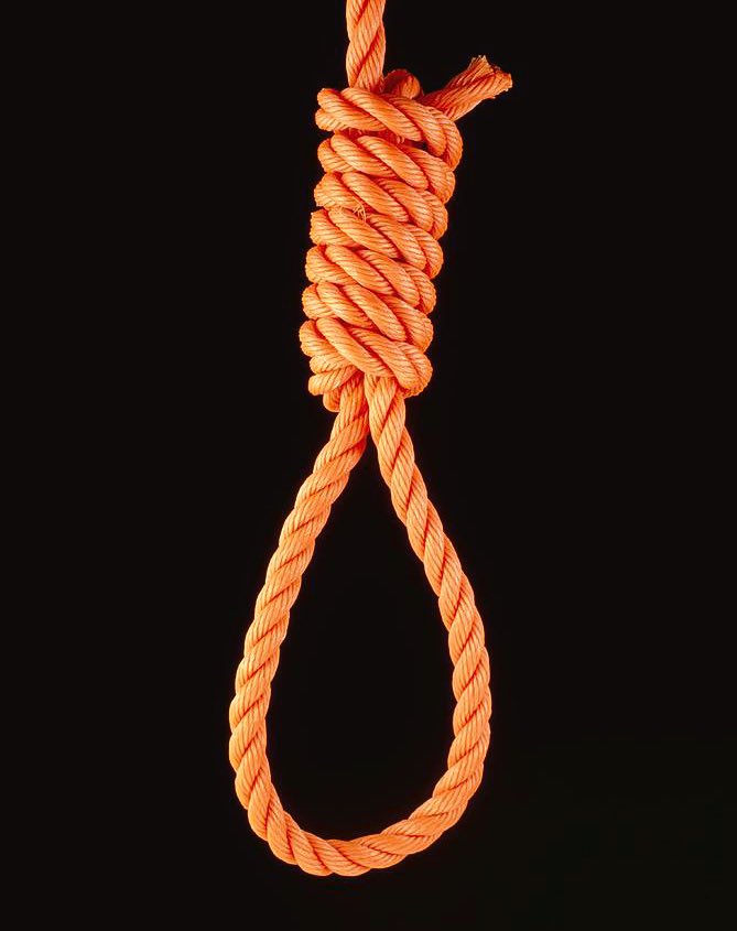 JUST IN: 🇺🇸 Rep. Tim Burchett calls to hang all child predators.