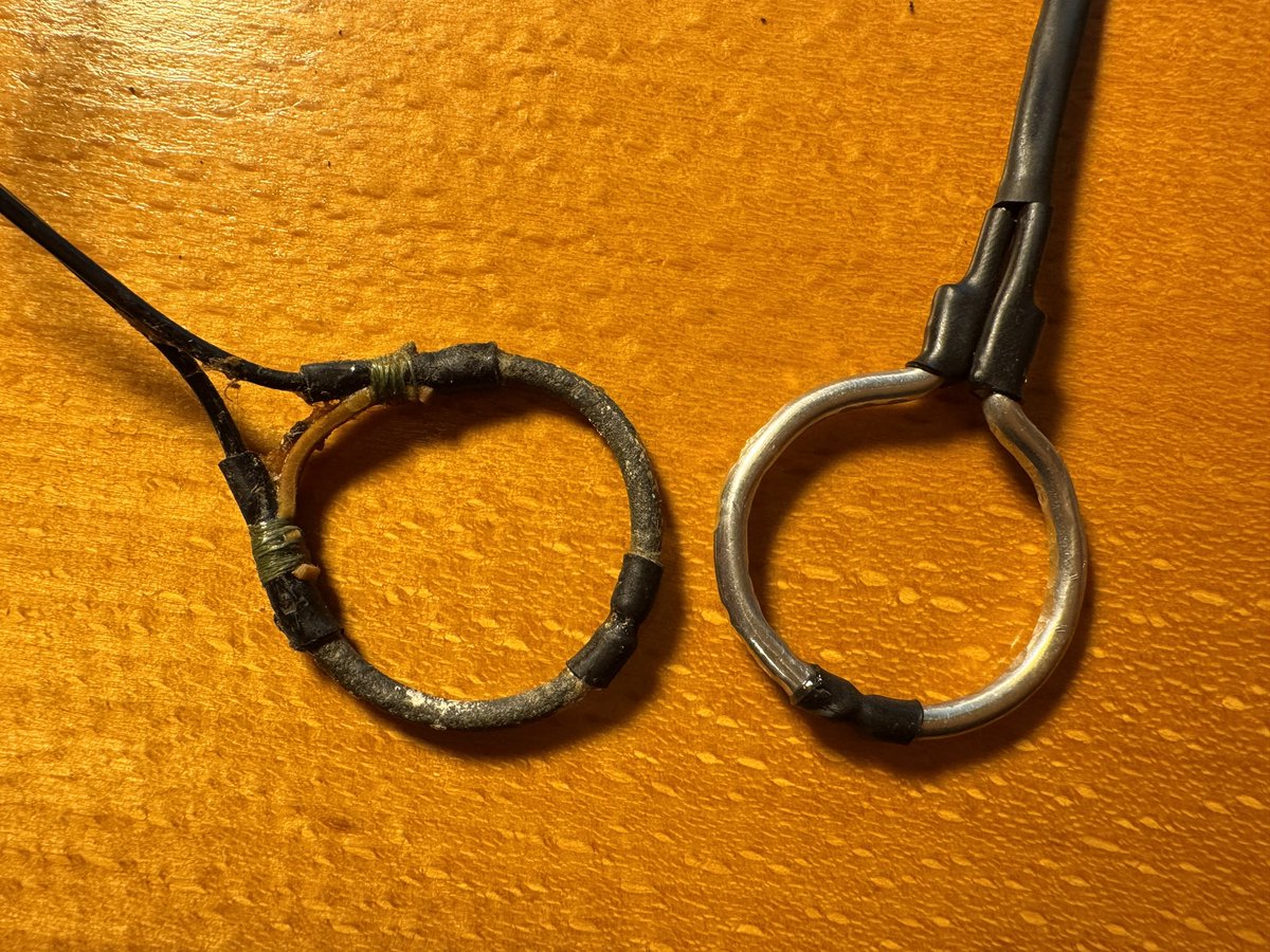 Qualzucht tweet media