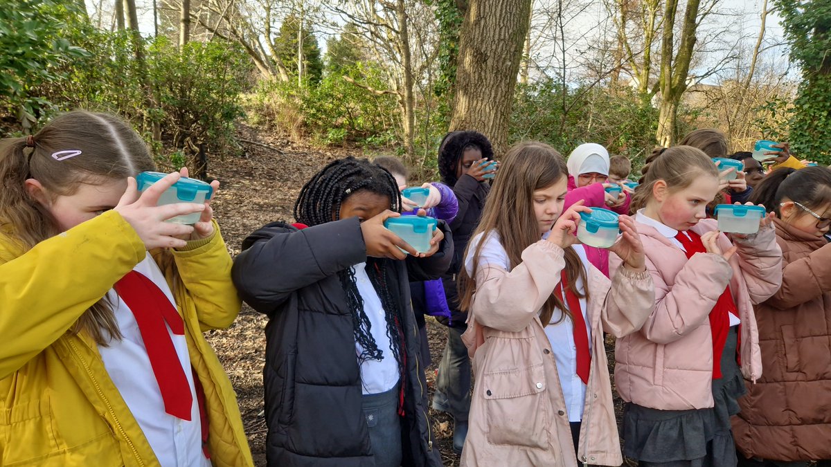 Primary 5a tweet media