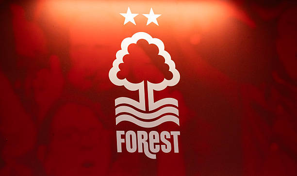 EPL World tweet media