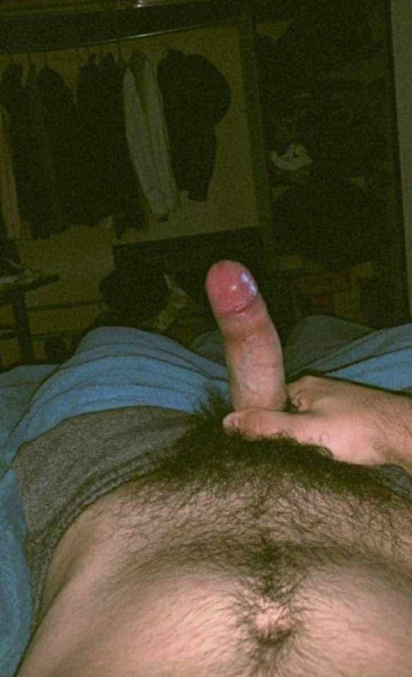 nights of fireball tweet media