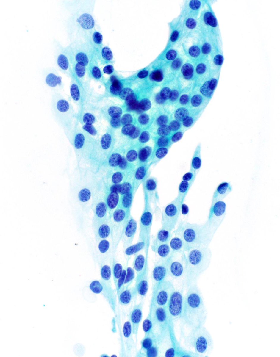 Charlie Herndon tweet media