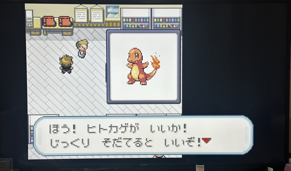 ポケモン30周年おめでとう🎊
そしてありがとう！

初めて親に買ってもらったゲームがSPとファイアレッドでした！

感動です🙇‍♂️