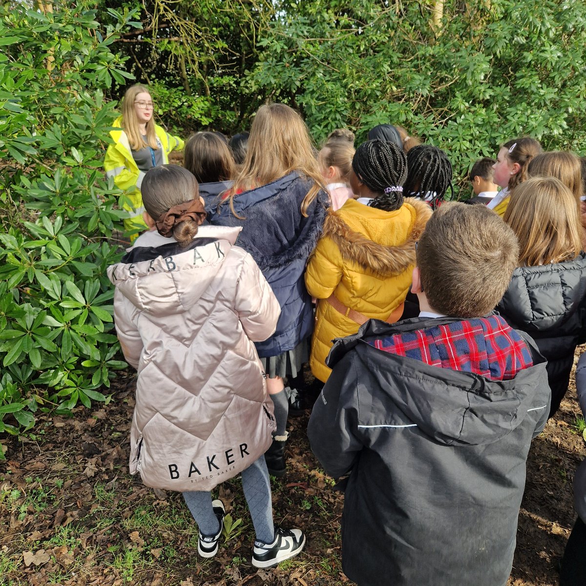 Primary 5a tweet media