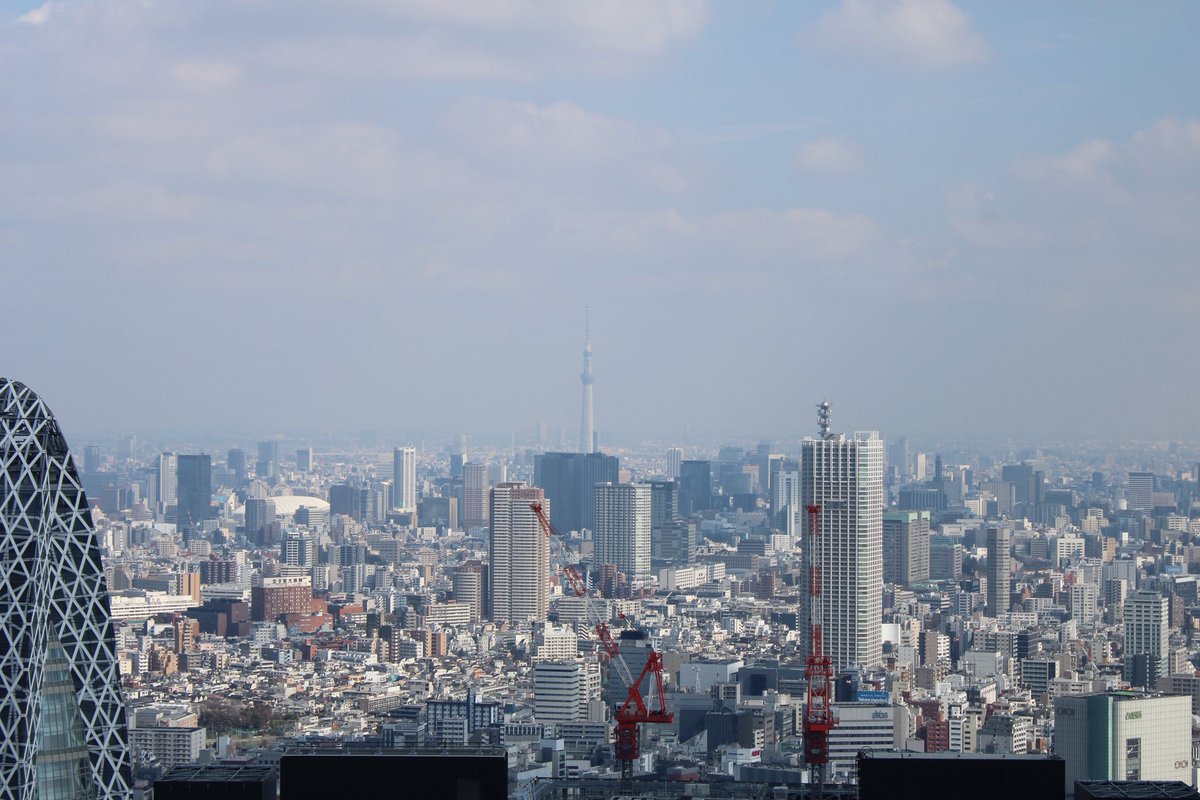 aprilsdiaries's tweet photo. — tokyo day 3 🫧🎌
we went to the metropolitan government building observation deck at noon!! 🏙️
my mum fell super sick with a 40°C fever so we did a slow day and explored shinjuku since our hotel is in that neighbourhood 🚏🚋
#lifetwt #archivetwt #studytwt #lifelog https://t.co/SzqaaQXmS7