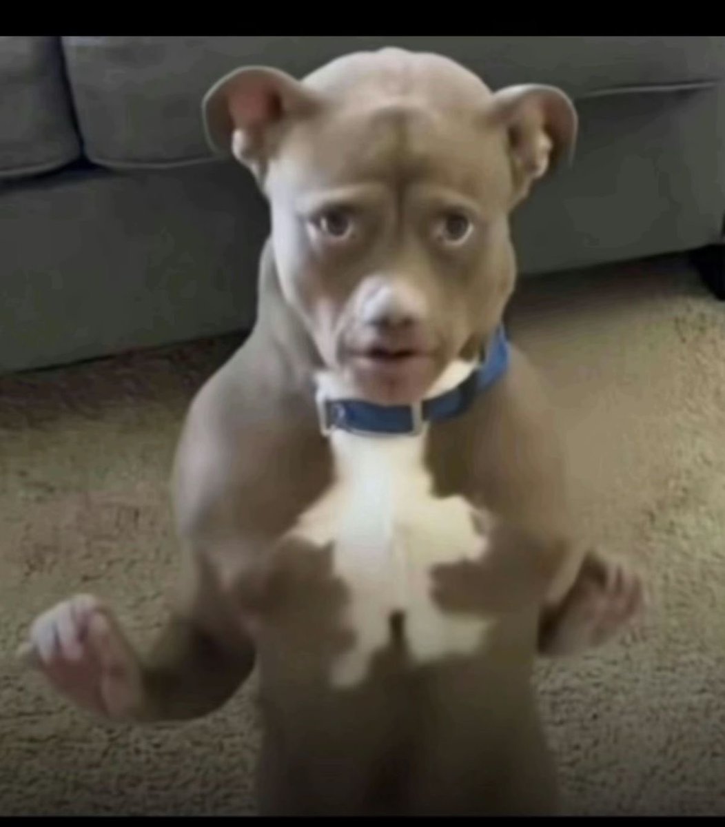 Nadie entendió nada del stream pero todos te apoyamos rubius