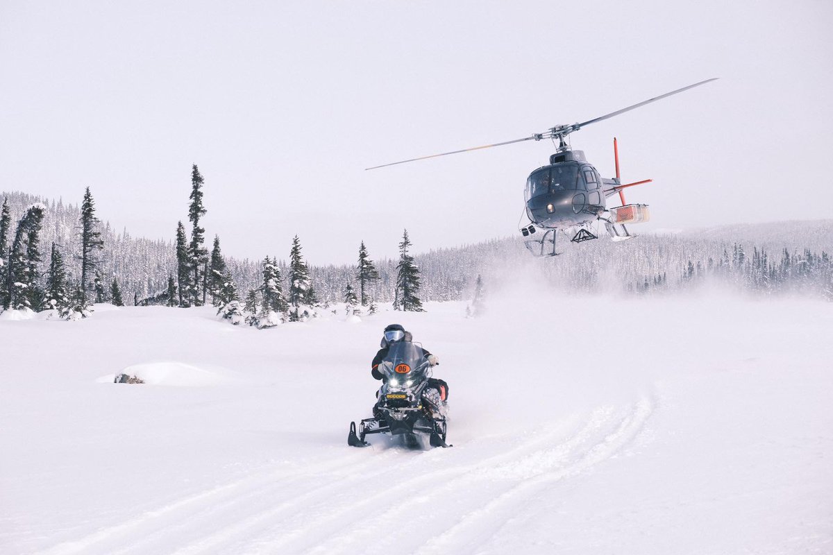 APECA Canada tweet media